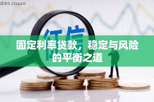 田林固定利率贷款，稳定与风险的平衡之道