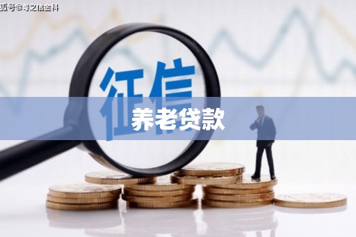 田林养老贷款