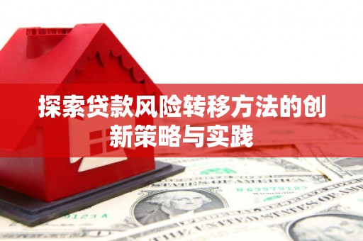 田林探索贷款风险转移方法的创新策略与实践