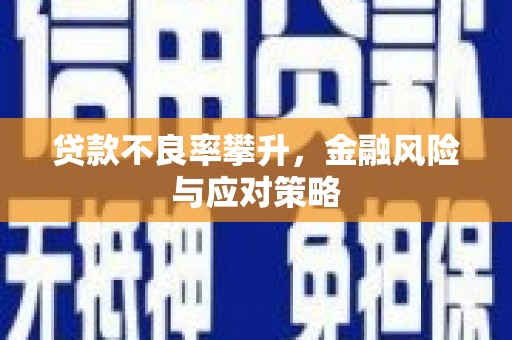 田林贷款不良率攀升，金融风险与应对策略