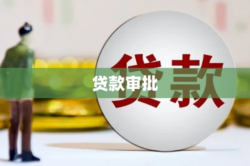 田林贷款审批