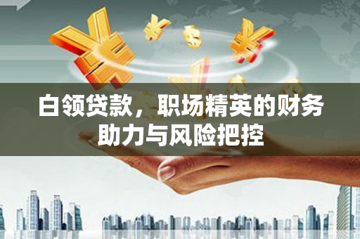 田林白领贷款,职场精英的财务助力与风险把控 田林白领贷款,职场精英的财务助力与风险把控