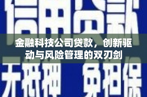 田林金融科技公司贷款，创新驱动与风险管理的双刃剑