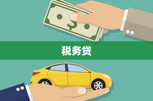 田林税务贷