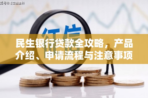 田林民生银行贷款全攻略，产品介绍、申请流程与注意事项