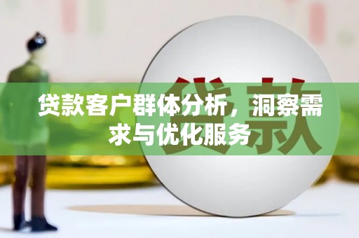 田林贷款客户群体分析，洞察需求与优化服务